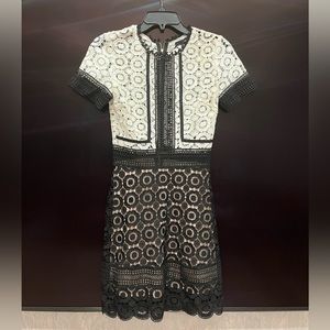 Short sleeve lace contrast dress